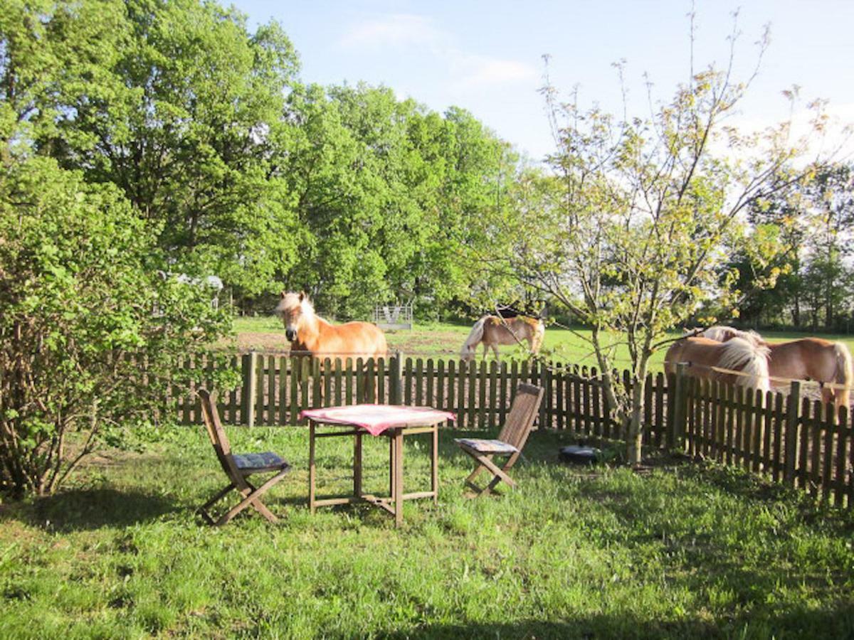 Apartament Haflingerhof Heed Kuhstorf Zewnętrze zdjęcie